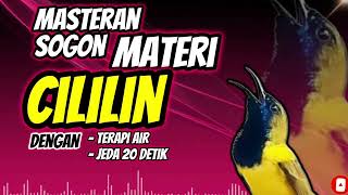 Download lagu MASTERAN SOGON MATERI CILILIN DENGAN TERAPI AIR DAN JEDA 20 DETIK #sogon #sogongacor #sogokontong mp3 Download lagu MASTERAN SOGON MATERI CILILIN DENGAN TERAPI AIR DAN JEDA 20 DETIK #sogon #sogongacor #sogokontong mp3