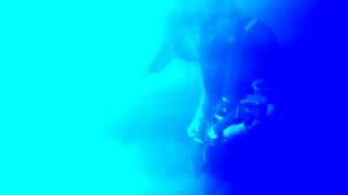 The Big Pink - Decoy - Soda Bar - San Diego 4-20-16