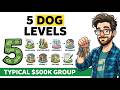 Boring Dog Business Empire: Walking, Grooming & Kennels