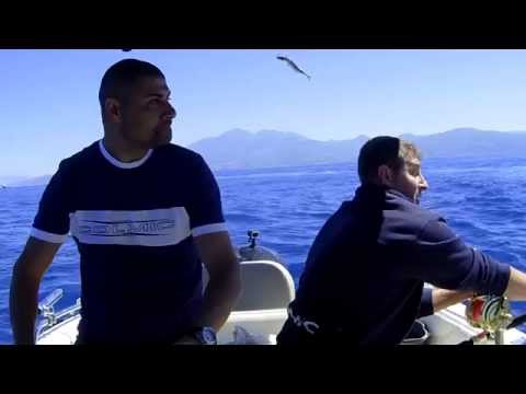 Tonno di 300kg  # Orcabianca ASD # mar tirreno