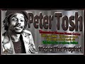 Peter Tosh - Moses The Prophet   (2002 Remaster)