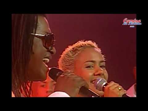 LUCHA LUCHADOR (EN VIVO) - NG LA BANDA ft MAYITO RIVERA Y AMARAY | CAMINA LA HABANA by RENZO REY #RR