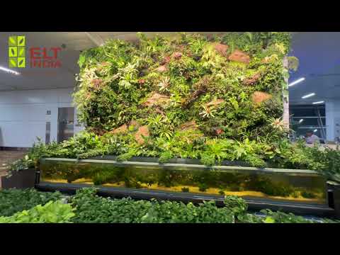 ELT's Open Paludarium, @ Gate 37, Terminal 3 , New Delhi International Airport