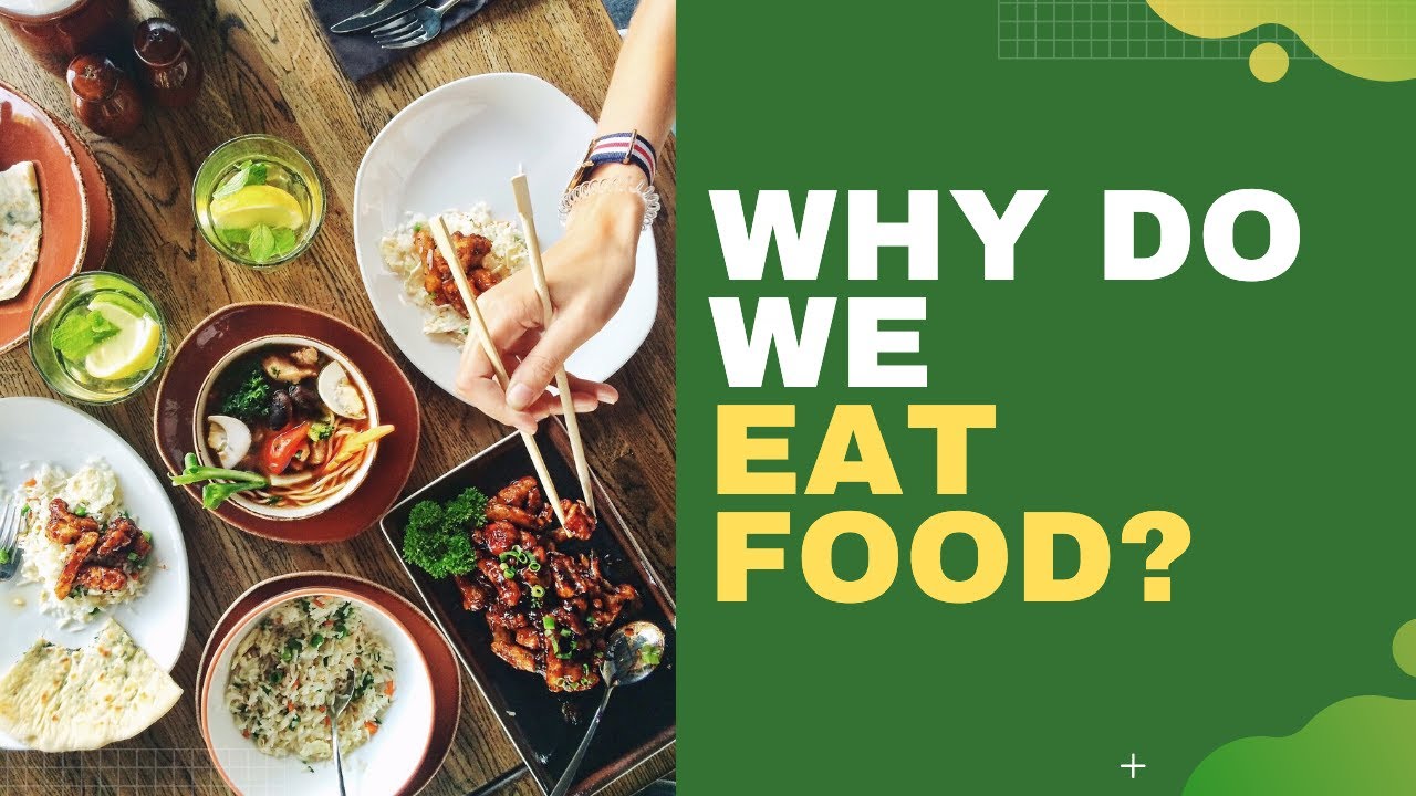 Why Do We Eat Food? | Foundation for Human Nutrition | NUTRITION