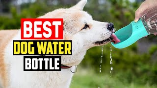 ✅Top 5 Best Dog Water Bottle in 2025