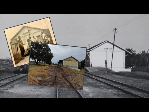 O apagamento de uma história | MINI REPORTAGEM SOBRE TERENOS MS