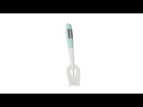 Kelsey Nixon Essentials Thermometer   Silicone Spatula