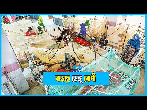 ডেঙ্গু ছড়িয়েছে ৫০ জেলায়