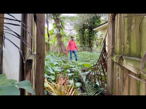 I Couldn’t Just LEAVE It Like This… Even Though We Got RAN OFF Last Week