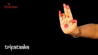 Bharatanatyam - Learn Asamyuta Hasta HD (Video Les