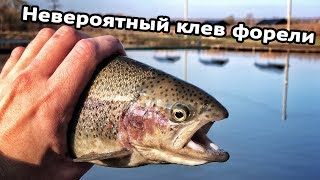 Платная рыбалка узкое