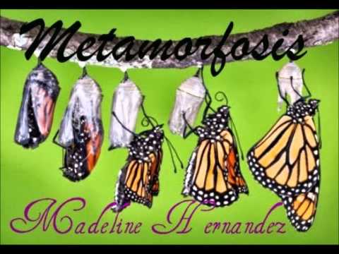 Madeline Hernandez Metamorfosis