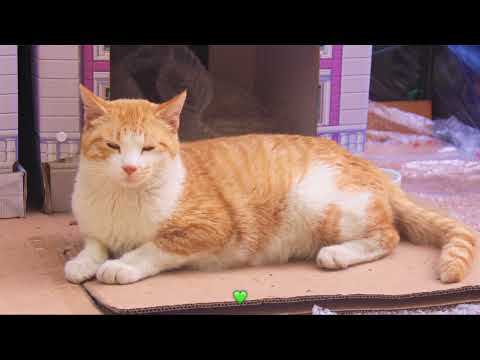 기본썸네일이미지