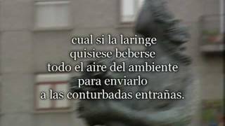 Video Youtube