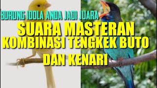 Download lagu MASTERAN TENGKEK BUTO VS KENARI SUARA JERNIH TERBA... mp3