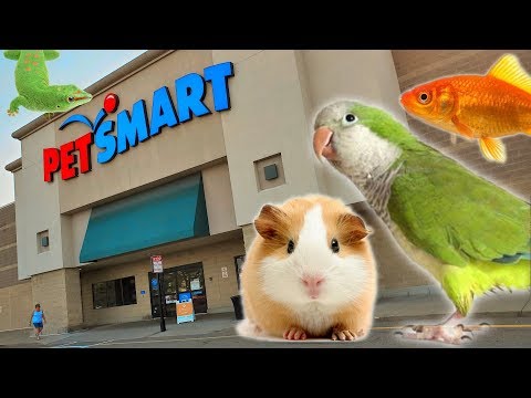 EXPLORING PETSMART ! ANIMAL FRIENDS EVERYWHERE!