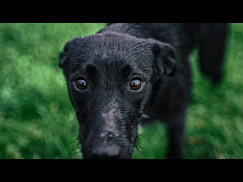 Video thumbnail for Chcę Ci Powiedzieć