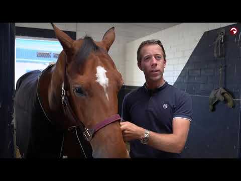 Interview with Maikel van der Vleuten about Beauville Z