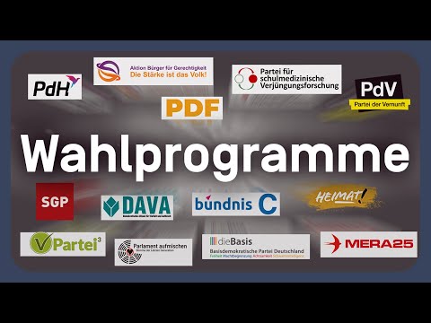 Video Thumbnail: Die Wahlprogramme der kleineren Parteien erklärt | EU-Wahl 2024
