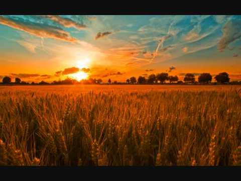 Henri Salvador   Verte campagne