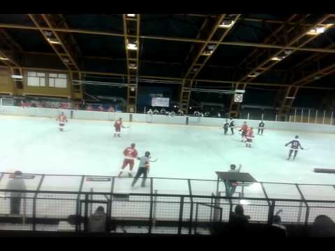 Hokej Partizan - C. Zvezda 8.2.2015