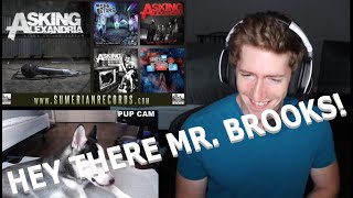 Chris REACTS to Asking Alexandria - Hey There Mr. Brooks