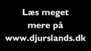 preview picture of video 'Djurslands Efterskole søger medarbejdere, maj/juni 2010'