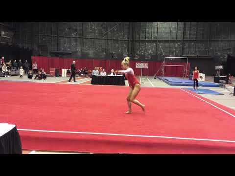 Madison Solka Floor vs. NIU 1/24/20 (9.675)