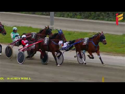 VII Corsa del 26 Marzo 2022 - 5 Anni ed oltre - Metri 2000