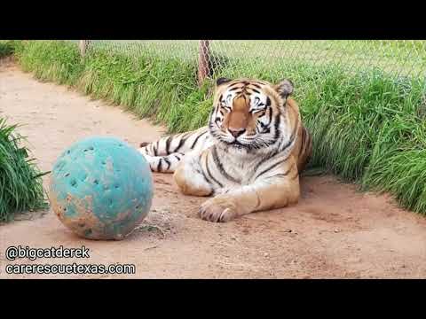 "Where's Melita?" | FUNNIEST Moments March 2019