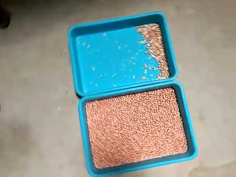 Groundnut Color Sorting Machine