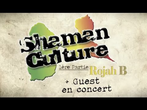Shaman Culture - Freestyle (Live @ New Morning) ft. Lyricson, Dub Inc, Rastamytho, Colocks, Rojah B
