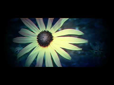 Wyznanie - Autor wiersza Stanisław Baliński