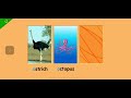 Starfall Time To Play Ostrich Octopus Dog