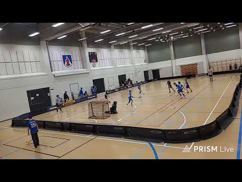 Blue Fox - SB Vaasa Oranssi