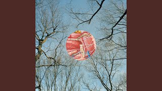 All the Lazy Boyfriends