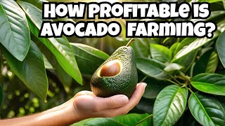 How profitable is avocado farming #AvocadoFarming  #FarmingGuide #financial #wealthbuilding #farm