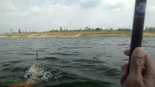 Download lagu Tombro Pelembinatur (short) mp3