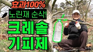 [만들어봐요]  크레졸 (크레솔) 기피제 노린재 퇴치 효과 100% 황금비율 최초공개 | 크레졸 검증된 사용…