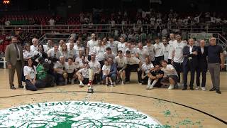 scandone-avellino-la-festa-promozione-al-paladelmauro