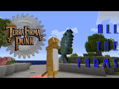 TerraFirmaPunk 2.0 - Day 3 - All The Farms