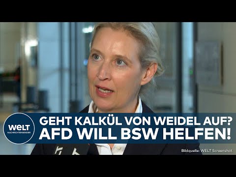 BUNDESTAG: Weidel geht auf Merz los und nimmt Bundestagswahl ins Visier! AfD hilft BSW!