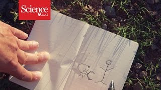 XX Files : Scorpion hunters : The way we feel pain [CLIP]