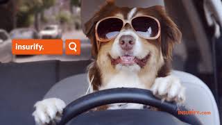 Insurify New Bailey Video - Short