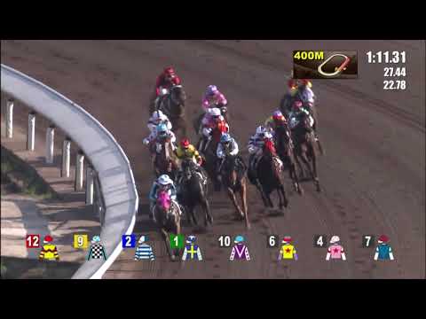 8/5/2021 (659) Skyey Supreme - Jack Wong