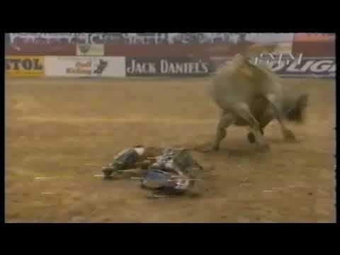 Strawberry Wine bucks Bart Jackson - 99 PBR Finals