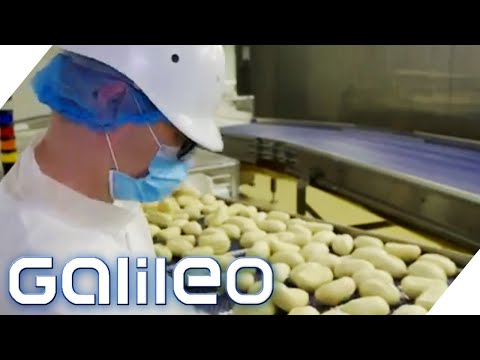 10 million rolls from Europe's largest bakery: How fresh are the rolls? | Galileo