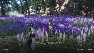 風燕伝:不見山(再開)