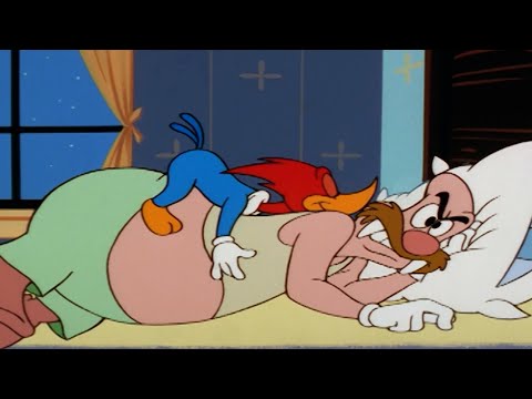 Capa de Pica-Pau sonâmbulo | Episódio Completo | Desenhos Animados em Português