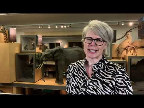 The Great North Museum: Hancock is open!